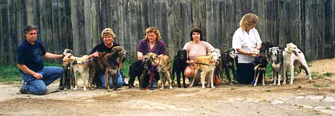 Some of the charting members of ISWS, Silken Windhound International Society