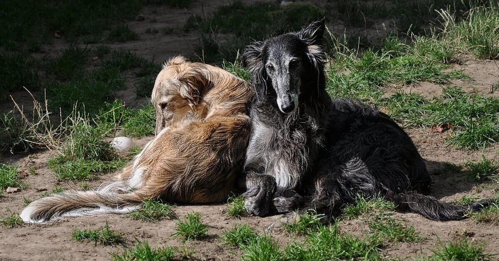 Mother and daughter