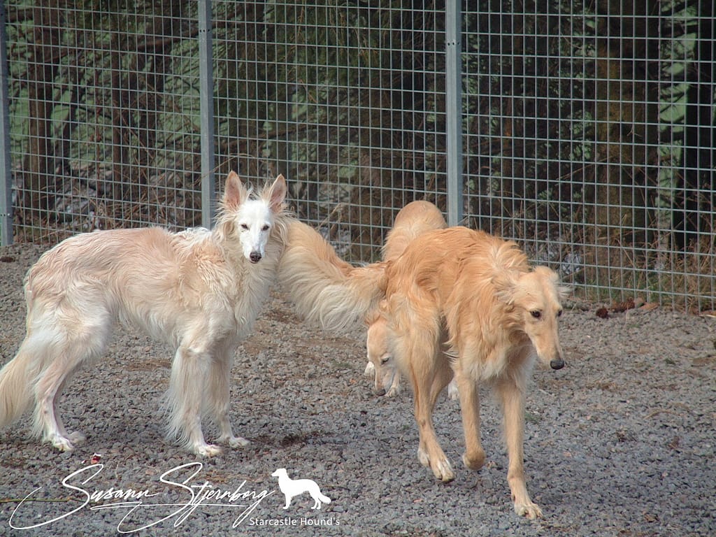 An old photo, all the memories…