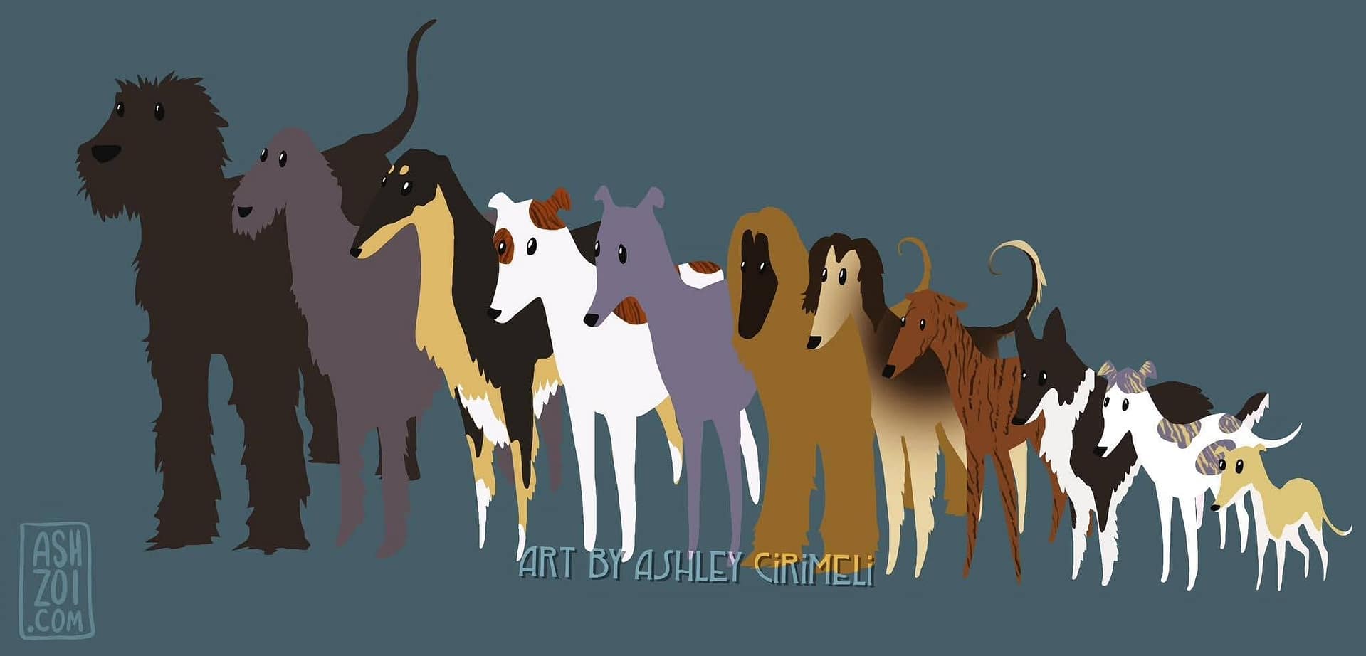 Art By Ashley Cirimeli, the Sighthound Lineup