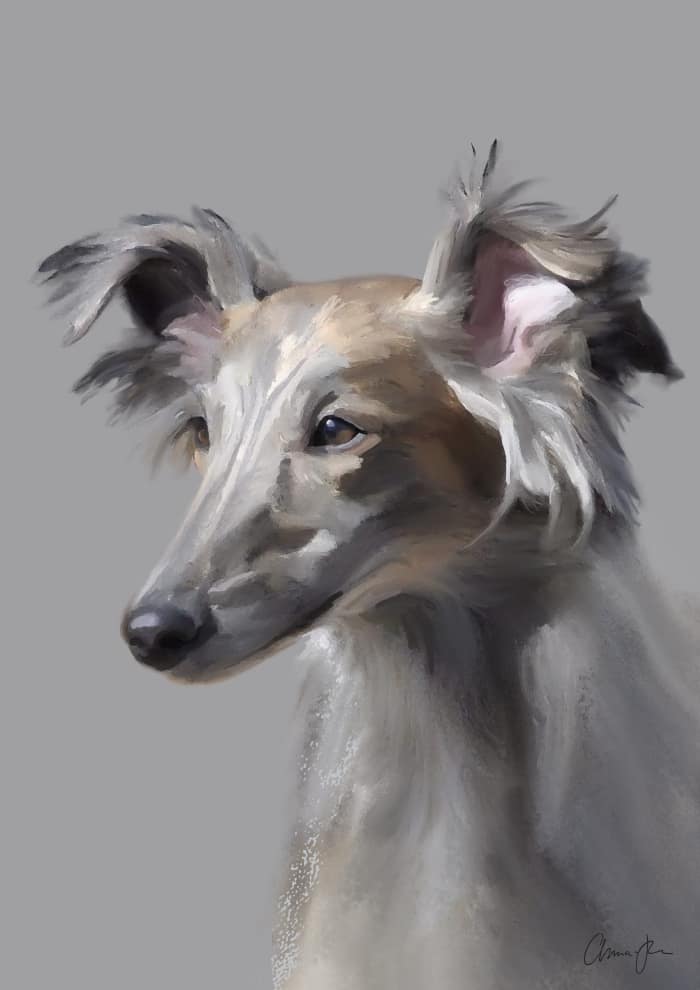 Digital painting of Silken Windhound Starcastle Hound's Timeless, aka Loppan